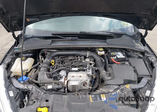 1FADP3FE5JL318316: 42612295