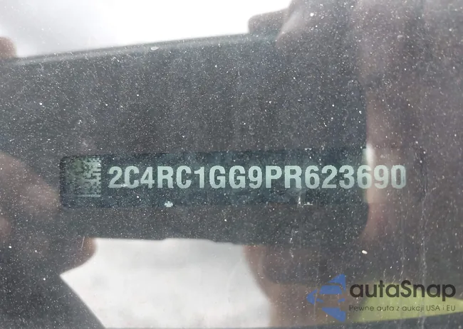 2C4RC1GG9PR623690: 42613573