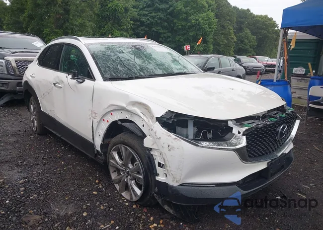 3MVDMBDL4NM431739: 42614875