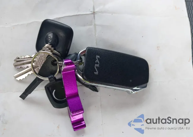 KNDCS3LF2R5170336: 42614188