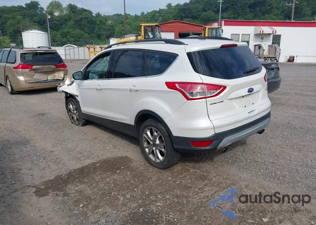 1FMCU9G99EUA09575: 42615476