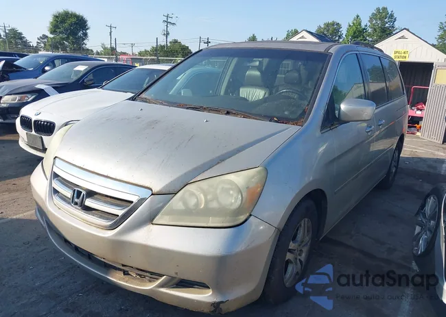 5FNRL38646B409461: 42615642