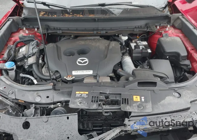 JM3TCBDY3K0310914: 42615691