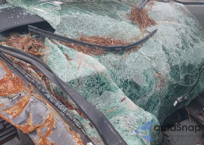 2HGFG12819H510916: 42615031