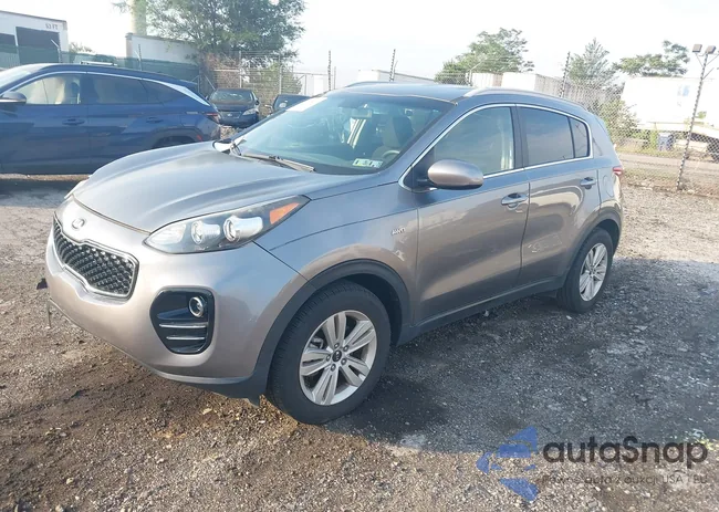 KNDPMCAC1H7240061: 42615179