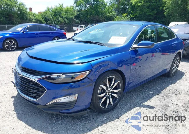 1G1ZG5ST2PF217041: 42616586