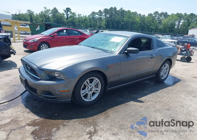 1ZVBP8AM9E5252163: 42616904