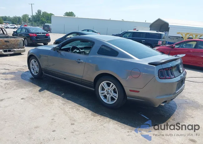 1ZVBP8AM9E5252163: 42616904