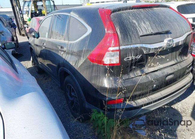 2HKRM3H45GH544365: 42616244