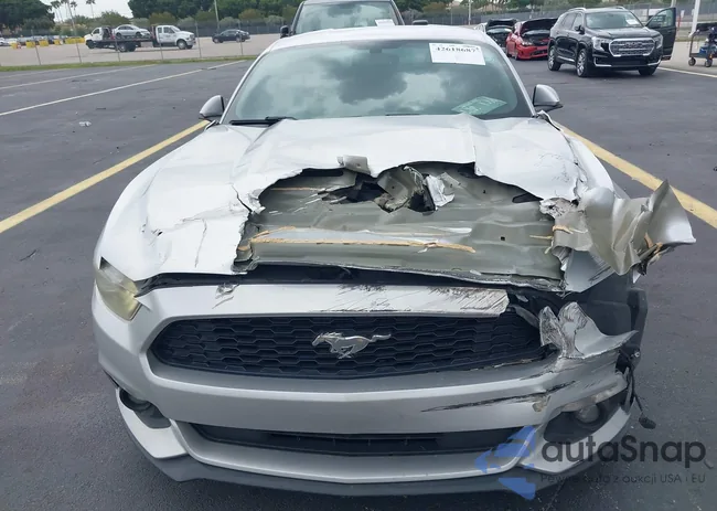 1FA6P8AM1F5316868: 42618687