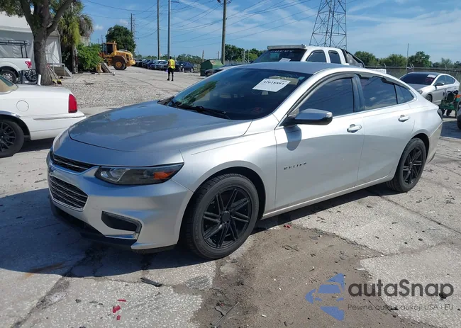 1G1ZD5ST8JF173823: 42618884