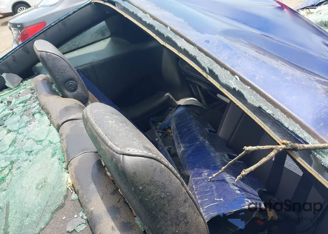 1ZVBP8AM7D5261474: 42618313