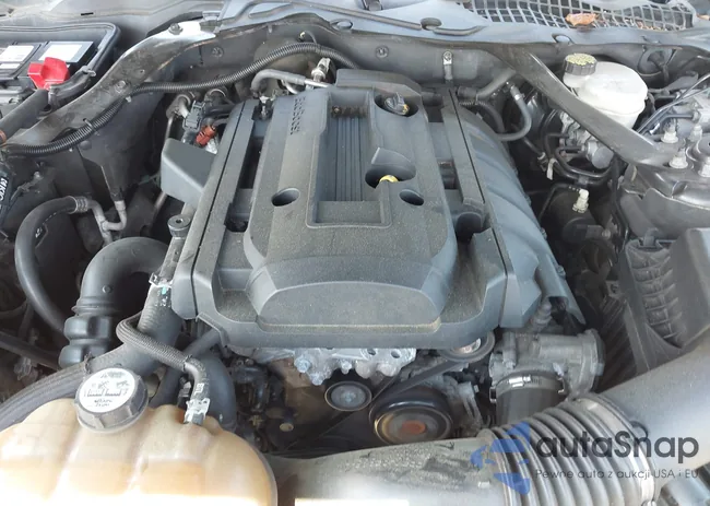 1FA6P8TH8F5394953: 42618352