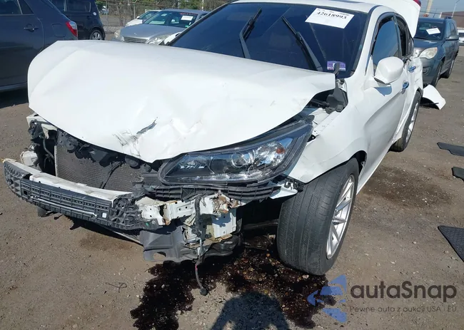 1HGCR3F83DA044917: 42618993