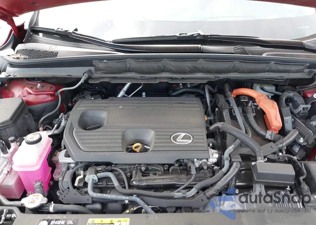 2T2BBMCA8RC036659: 42619124