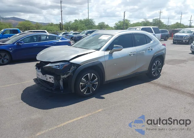 JTHY6JBH0K2009085: 42620888