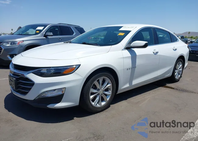 1G1ZD5ST8KF137146: 42620222