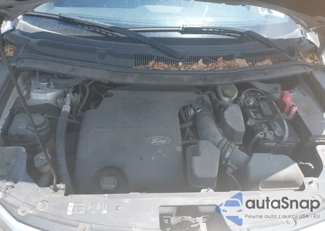 1FM5K8D84DGA05919: 42621664