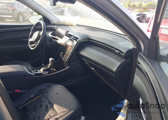 5NMJFCDE5RH387152: 42621012