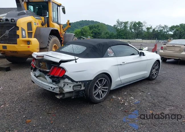 1FATP8UH4H5204358: 42622002