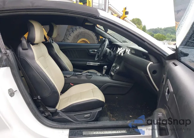 1FATP8UH4H5204358: 42622002