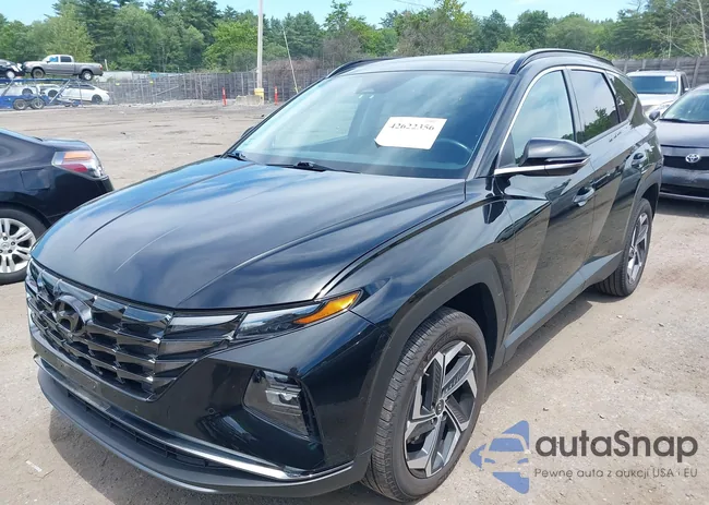 5NMJECDE9RH316815: 42622356