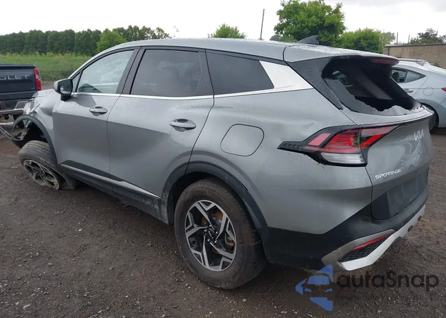 KNDPUCAF2P7039181: 42623873