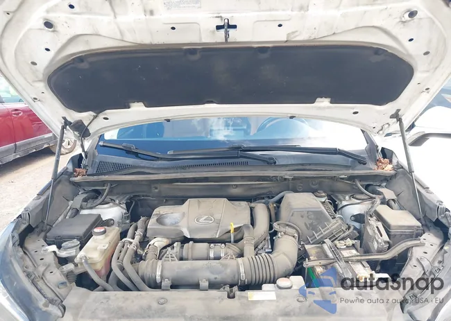 JTJYARBZ2G2022173: 42623201