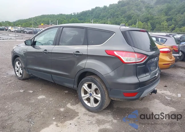 1FMCU9GX4FUA97483: 42624053