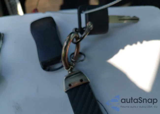 JN1AZ34D06M310839: 42625453