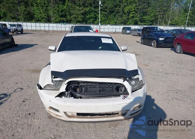 1ZVBP8AM6D5275978: 42624967