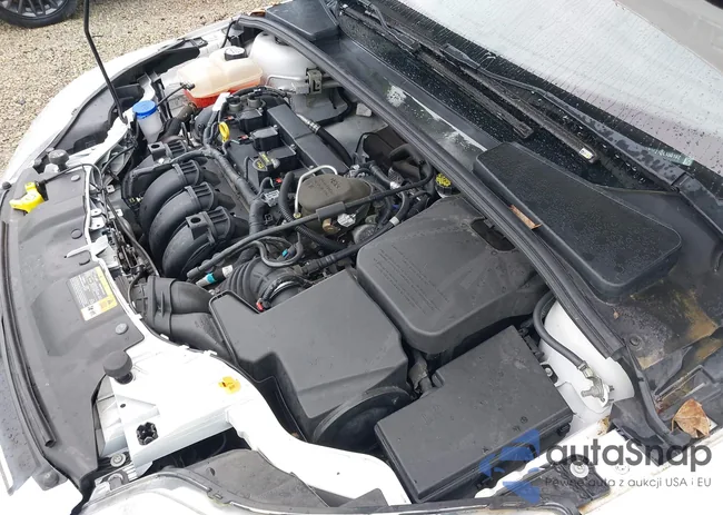 1FADP3F21DL150197: 42627639