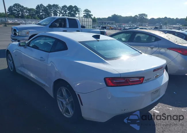 1G1FB1RX6H0177117: 42628931