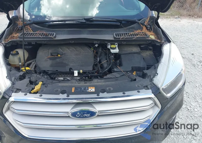 1FMCU0GD8JUB45769: 42628191