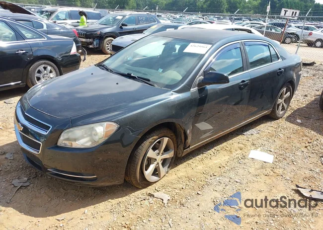 1G1ZC5E16BF210110: 42629564