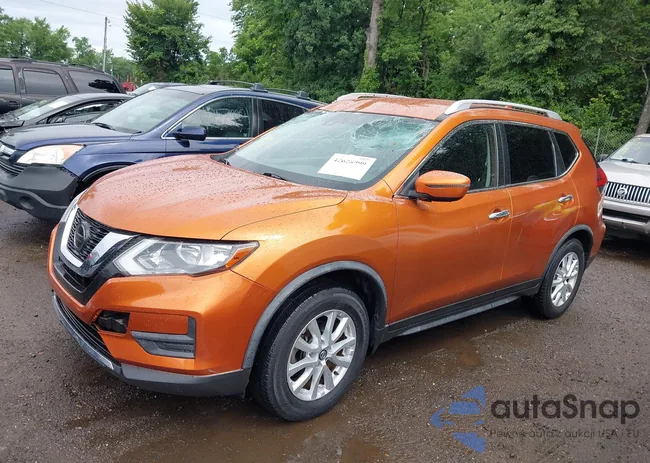 JN8AT2MT9LW016313: 42628999