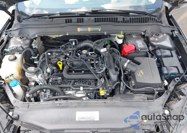 3FA6P0HD7LR165695: 42629082