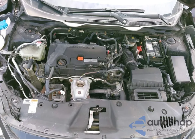 2HGFC2F89KH567351: 42631449