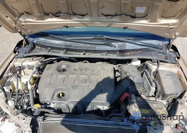 5YFBU4EE3DP207812: 42631216