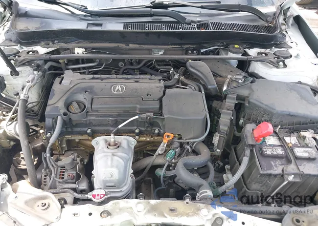 19UUB1F51JA006813: 42634017