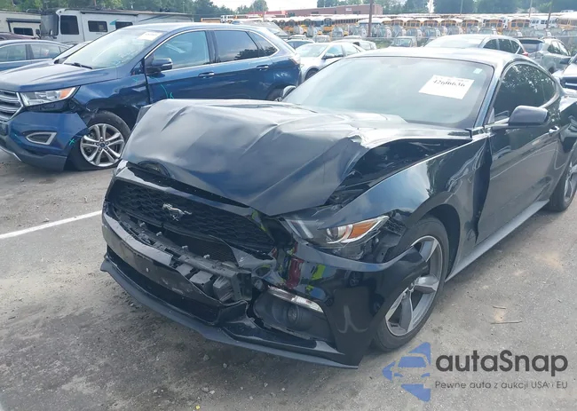 1FA6P8AM3G5311513: 42636636