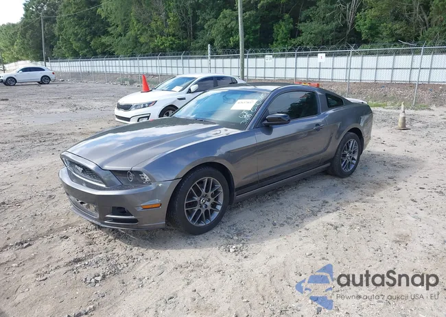 1ZVBP8AM5E5303187: 42637037