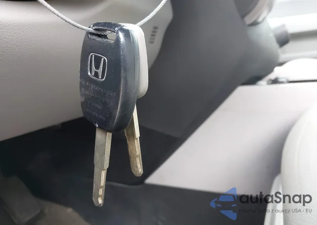 5FNYF4H36FB058874: 42638505