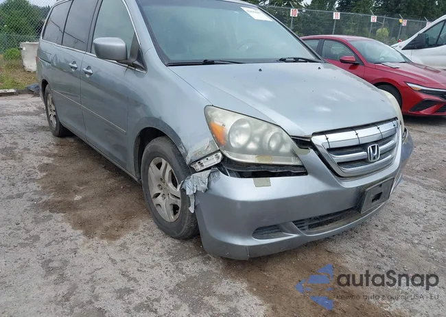 5FNRL38617B064116: 42639607