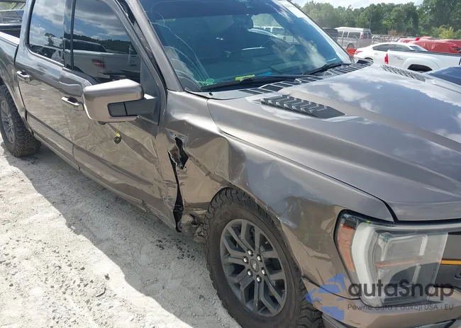 1FTEW1E81NFA03079: 42639680