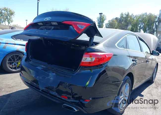 5NPE24AF9FH256434: 42640473