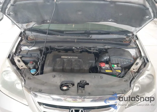 5FNRL38455B413533: 42640664