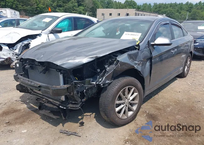 5NPE24AF2KH816093: 42640815