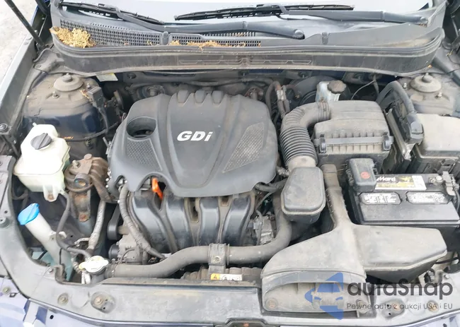 5NPEB4AC9DH718266: 42641470