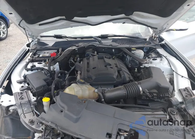 1FATP8UH2K5131420: 42642350